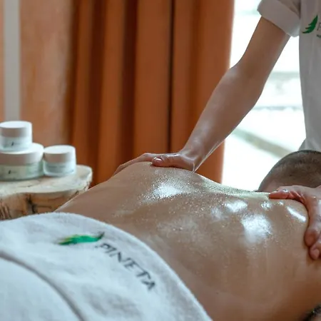 호텔 Pineta Nature - Wellness & 4*
