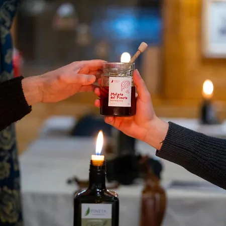 Pineta Nature - Wellness & 4* 코레도